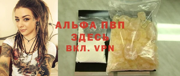 spice Бородино