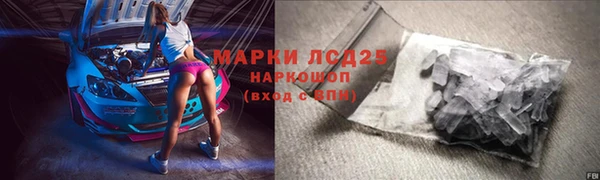 spice Бородино